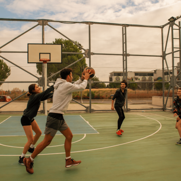 Некоторое время назад большую популярность имели заборы из сетки Рабица. Сегодня им на смену пришли панельные 3d ограждения. Они отличаются большим...